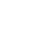 noun_Brain_2998851 1